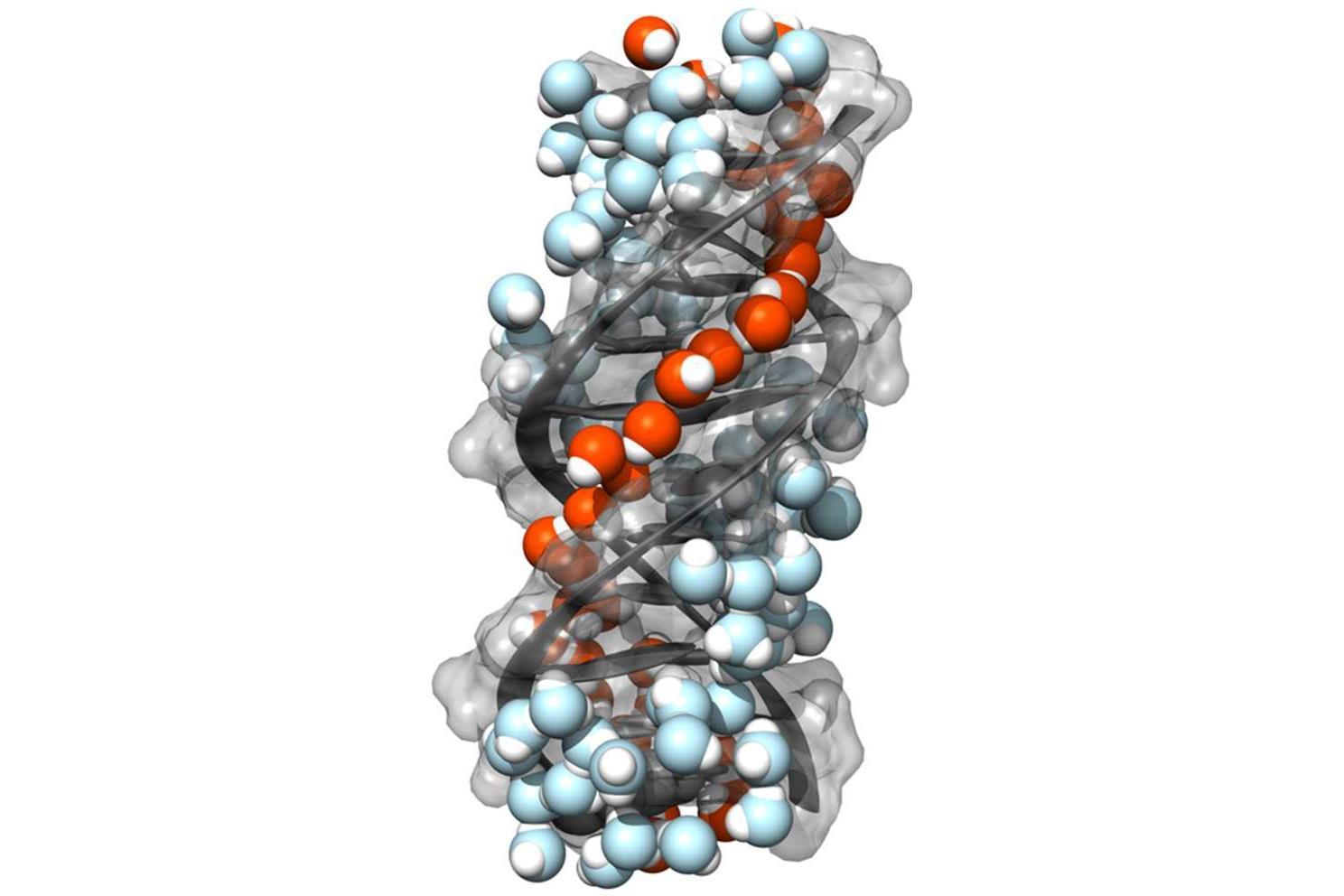 Mounjaro in Research: Tirzepatide Lab Overview